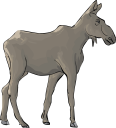 Moose Clipart
