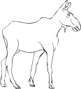 Moose Clipart