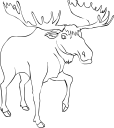 Moose Clipart