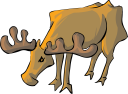 Moose Clipart