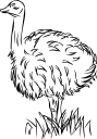Ostrich Clipart