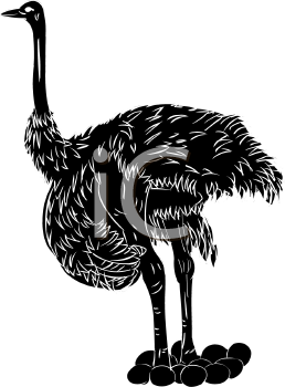 Ostrich Clipart