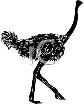 Ostrich Clipart