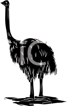 Ostrich Clipart