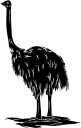 Ostrich Clipart