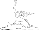 Ostrich Clipart