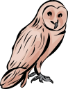 Owl Clipart