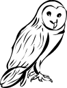 Owl Clipart