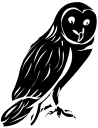 Owl Clipart