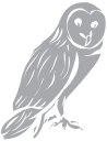 Owl Clipart