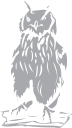 Owl Clipart