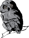 Owl Clipart