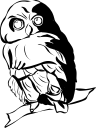 Owl Clipart