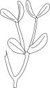 Mistletoe Clipart