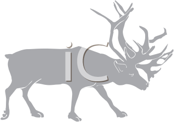 Reindeer Clipart