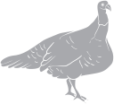 Christmas Clipart
