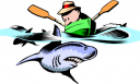 Shark Clipart