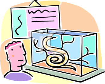 School Classroom Clipart