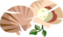Mollusk Clipart