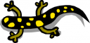 Iguana Clipart