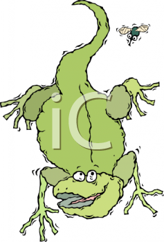 Iguana Clipart