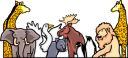 Moose Clipart