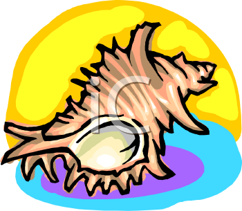 Mollusk Clipart