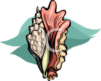 Mollusk Clipart
