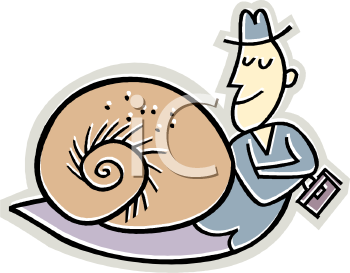 Mollusk Clipart