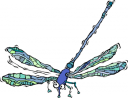 Dragonfly Clipart