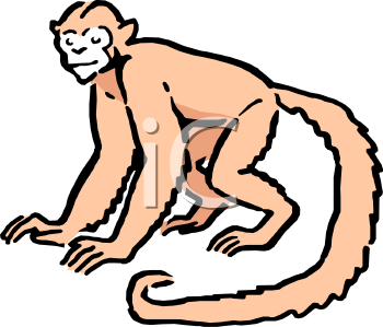 Monkey Clipart