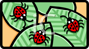 Ladybug Clipart