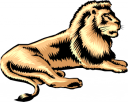 Lion Clipart