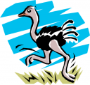 Ostrich Clipart