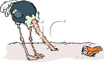 Ostrich Clipart