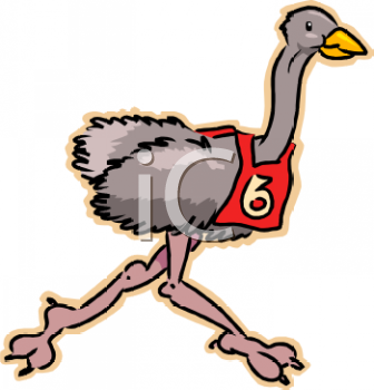 Ostrich Clipart