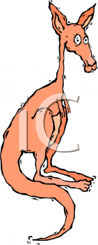 Kangaroo Clipart