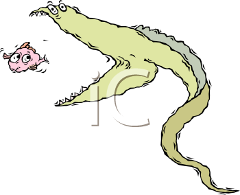 Eel Clipart