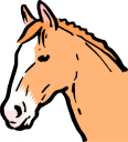 Mule Clipart