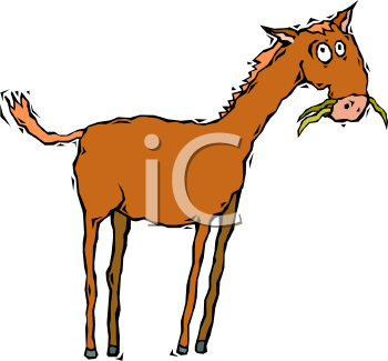 Mule Clipart