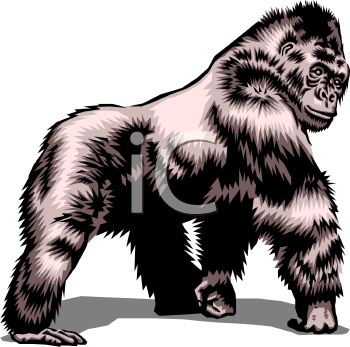 Lemur Clipart