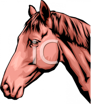 Mule Clipart