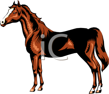 Mule Clipart