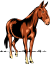 Mule Clipart