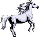 Mule Clipart