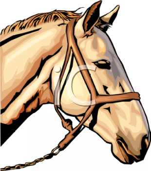 Mule Clipart