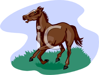 Mule Clipart