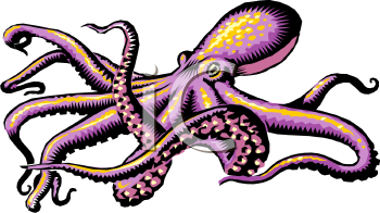Mollusk Clipart