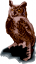 Owl Clipart