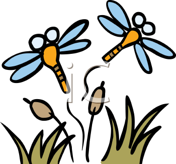 Dragonfly Clipart